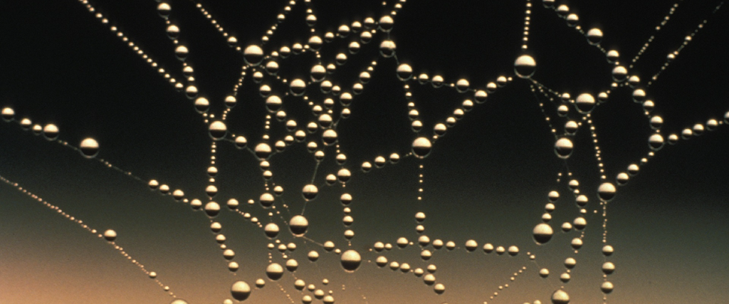 La Estructura del Discurso